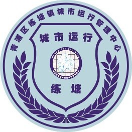 练塘镇城市运行管理中心图标